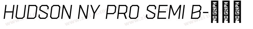 Hudson NY Pro Semi B字体转换